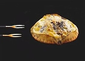 tourteaux farcis aux champignons des bois