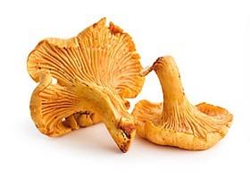 girolles