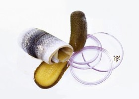 rollmops