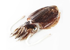 seiches