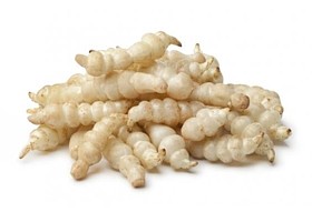 crosnes du japon