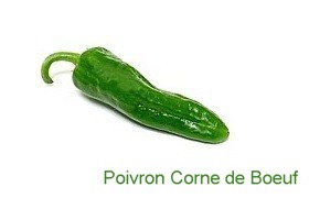 poivron corne de Boeuf