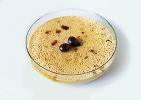 panna cotta au café