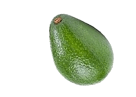 avocat