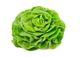salade