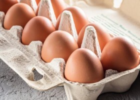 oeuf de poule