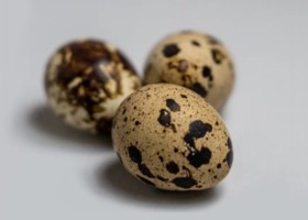 œufs de caille