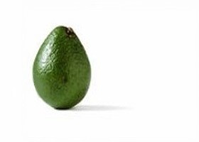 avocat