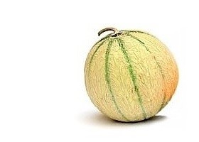 melon