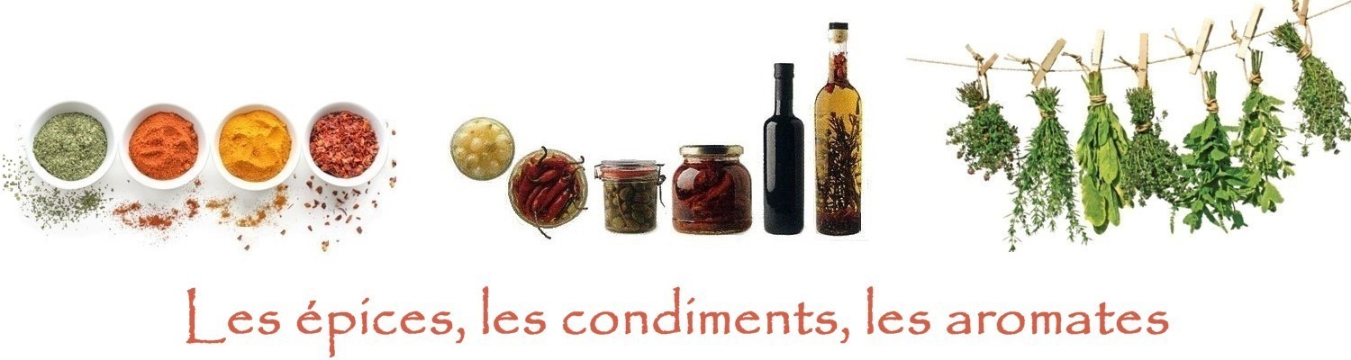 les épices, les condiments, les aromates