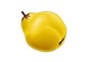 lecoing-cedroledefruit.jpg