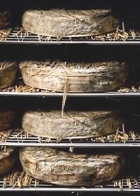 le saint-nectaire. Associé au seigle